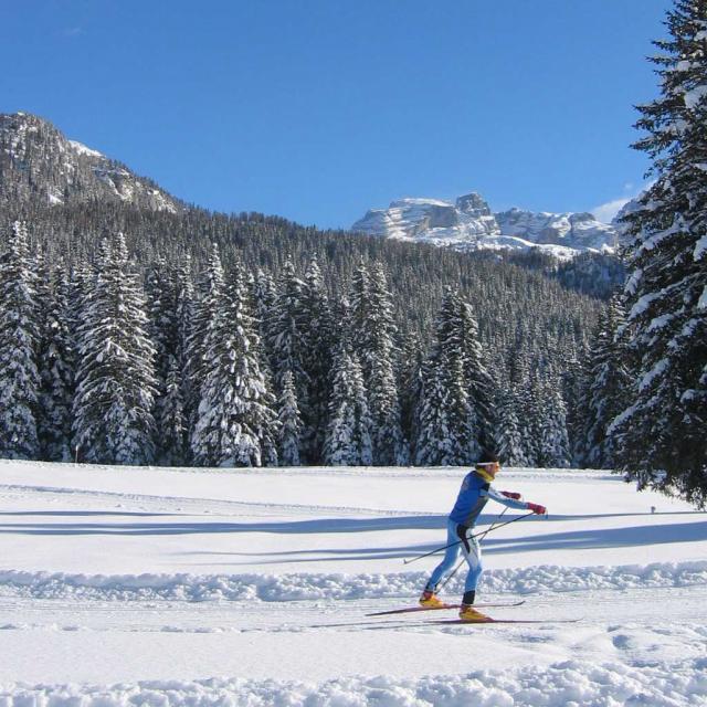 Sciatore su percorsi da fondo sulle nevi di Madonna di Campiglio